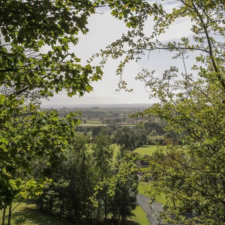 Ryedale Country Lodges - Willow Lodge York Exteriör bild